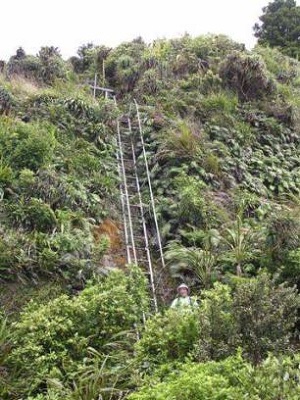 Img0668